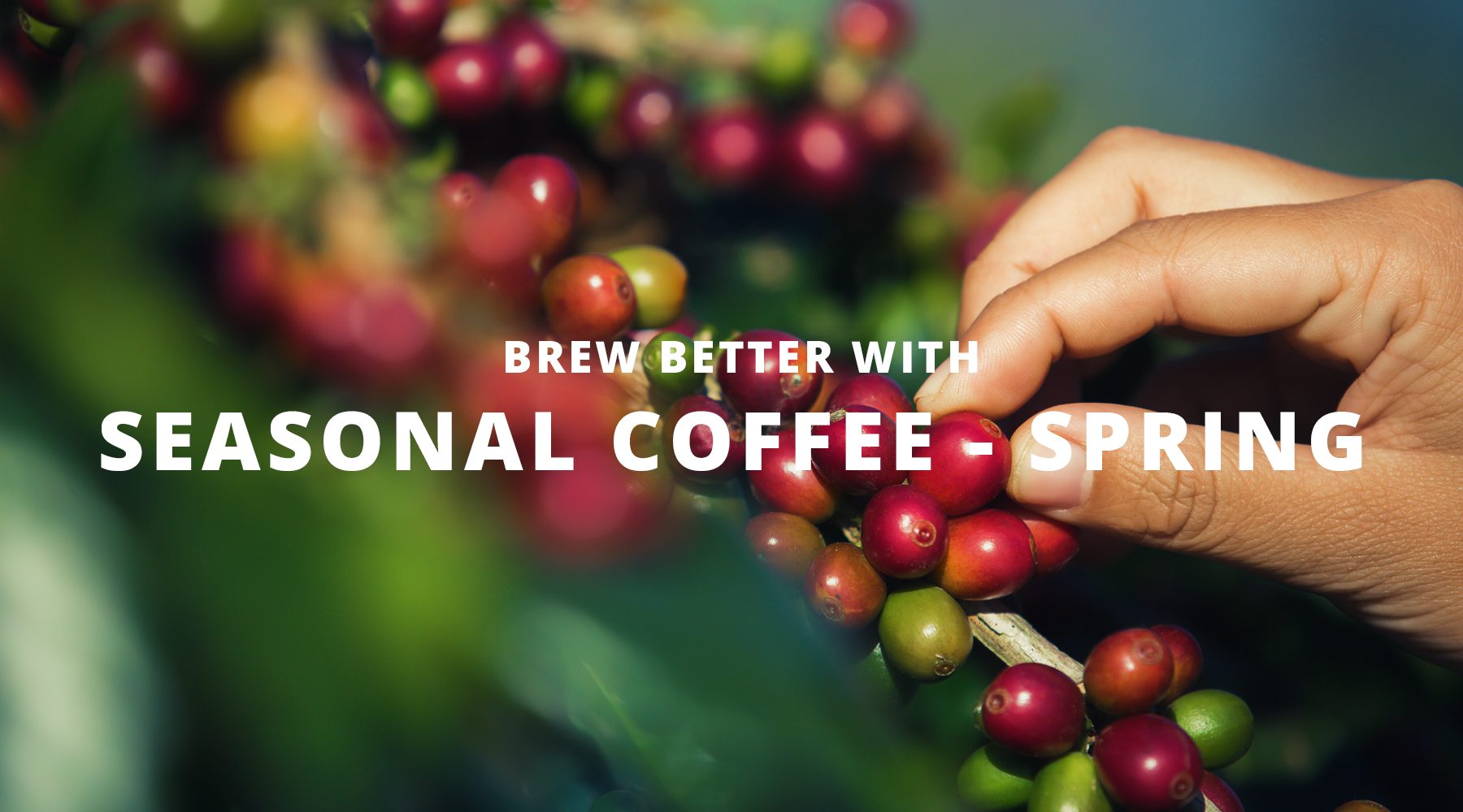 Brew Better with Seasonal Coffee - Spring