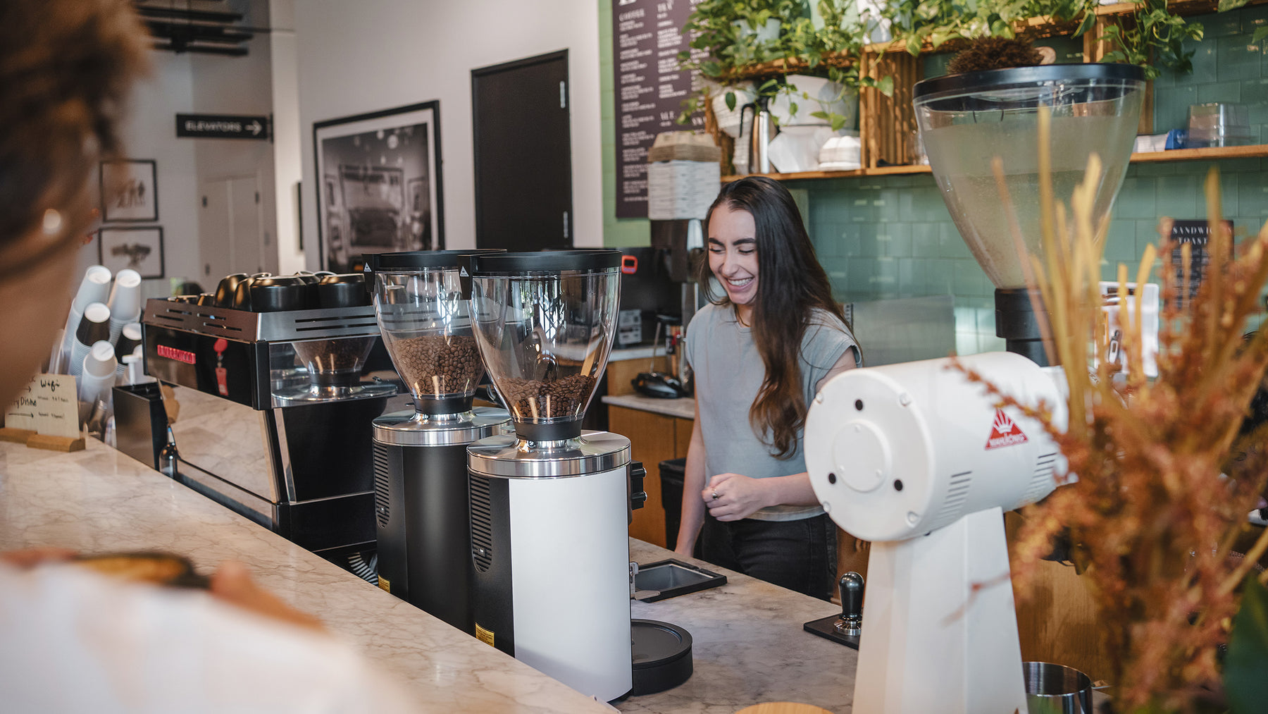 mahlkonig grinders in cafe